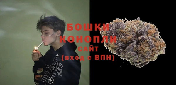 первитин Ладушкин