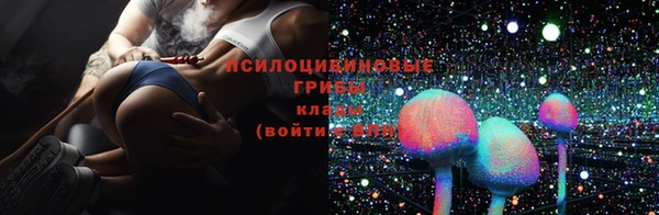 2c-b Абаза